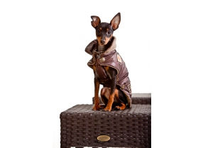 Rattan Bar Comodo brown